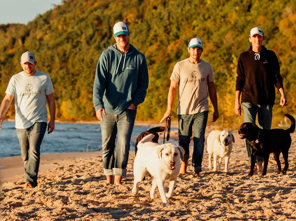 Four people wearing casual clothes and hats walk along a sandy beach with three dogs. Dunegrass lines the shore, while lush green trees and water in the background create a relaxed, outdoor setting.